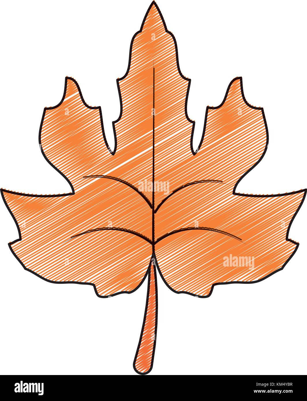 Isolated leaf design Stock Vector Image & Art - Alamy