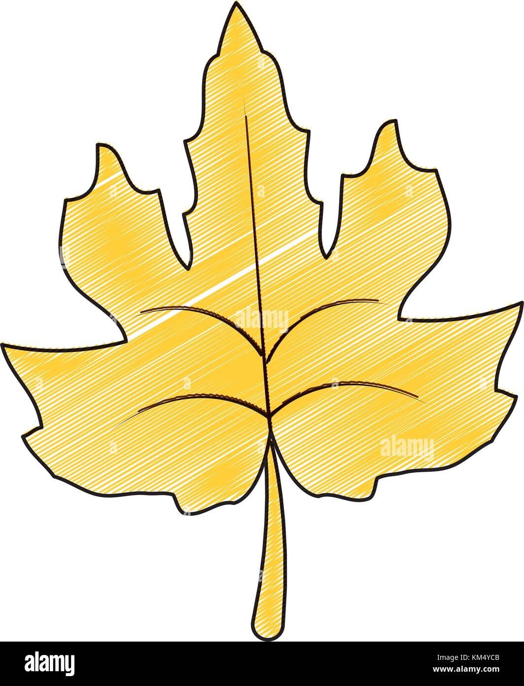 Isolated leaf design Stock Vector Image & Art - Alamy