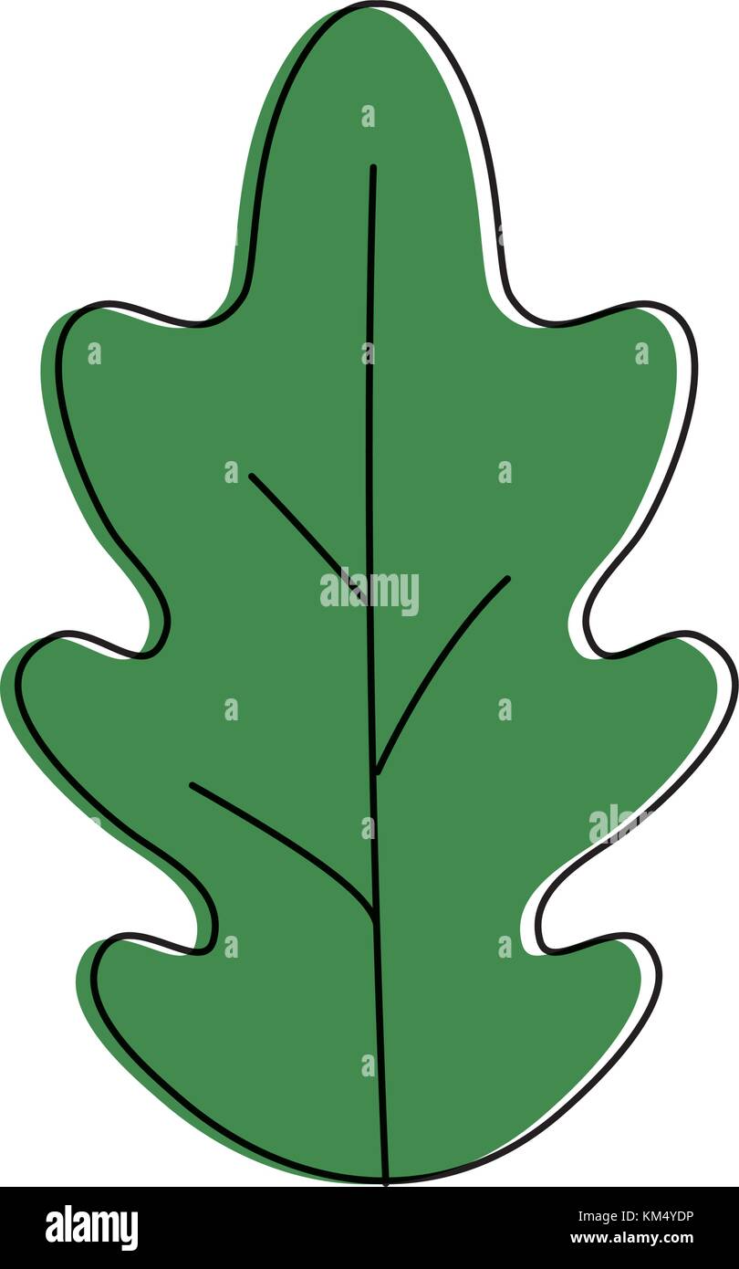 Isolated leaf design Stock Vector Image & Art - Alamy