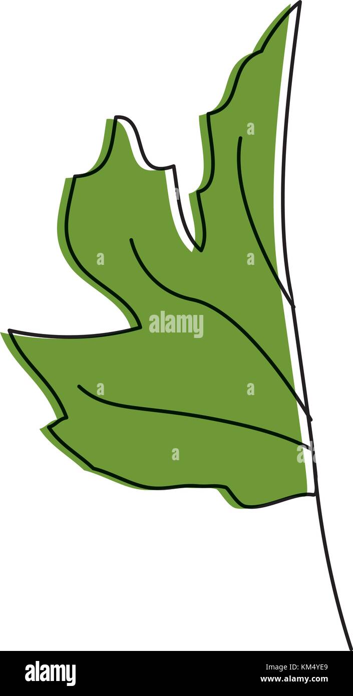 Isolated leaf design Stock Vector Image & Art - Alamy