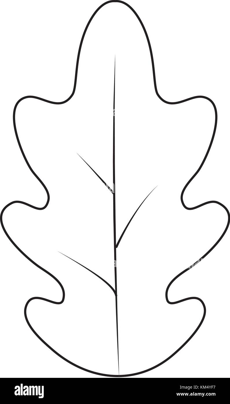 Isolated leaf design Stock Vector Image & Art - Alamy