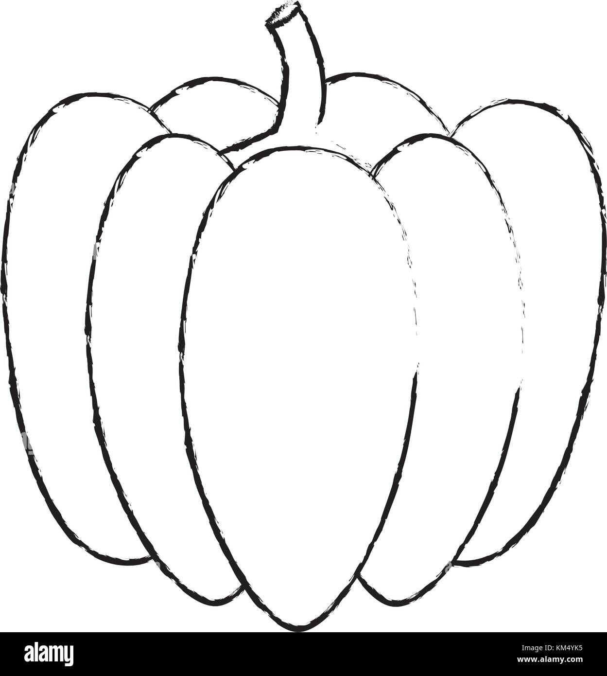 Isolated pumpkin design Stock Vector Image & Art Alamy