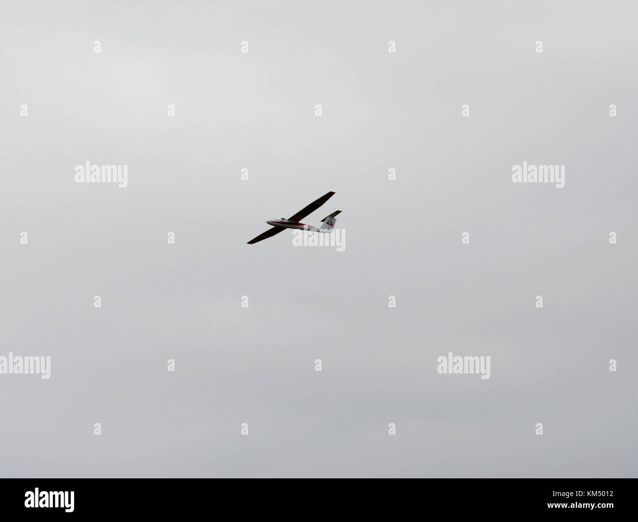 pilatus b4 rc glider