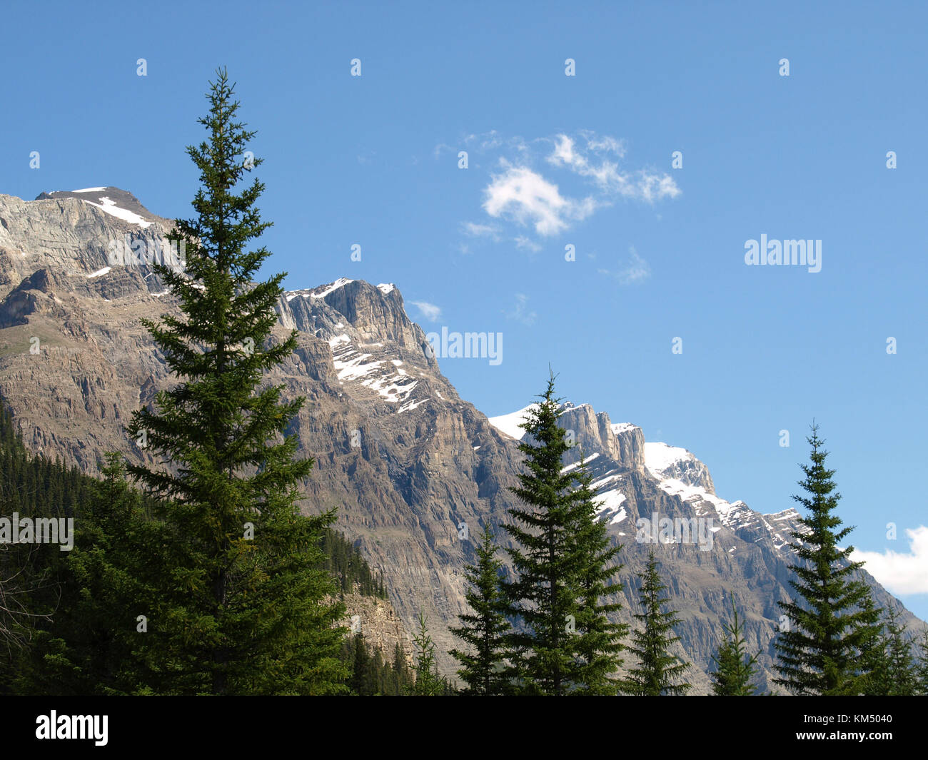 Three tall Spruce Trees Stand in Front of Three dramatic Rocky Mountain Peaks. Taken along Highway 93 between jasper and Banff, Alberta, Canada Stock Photo