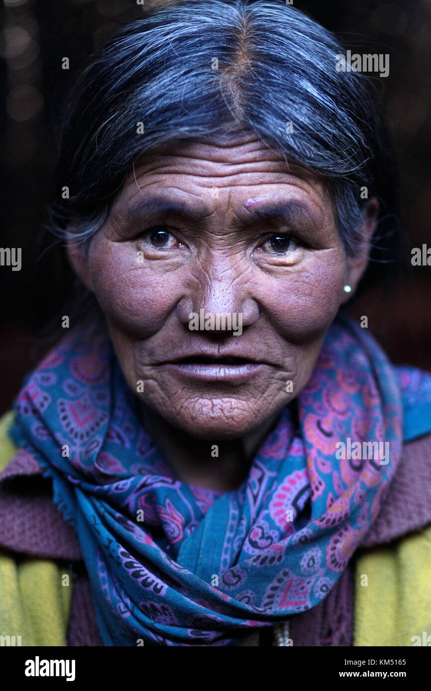 Portrait of a Changpa nomads lady with a purple head scarf, Tso Moriri region, Ladakh, Jammu and Kashmir, India. Stock Photo