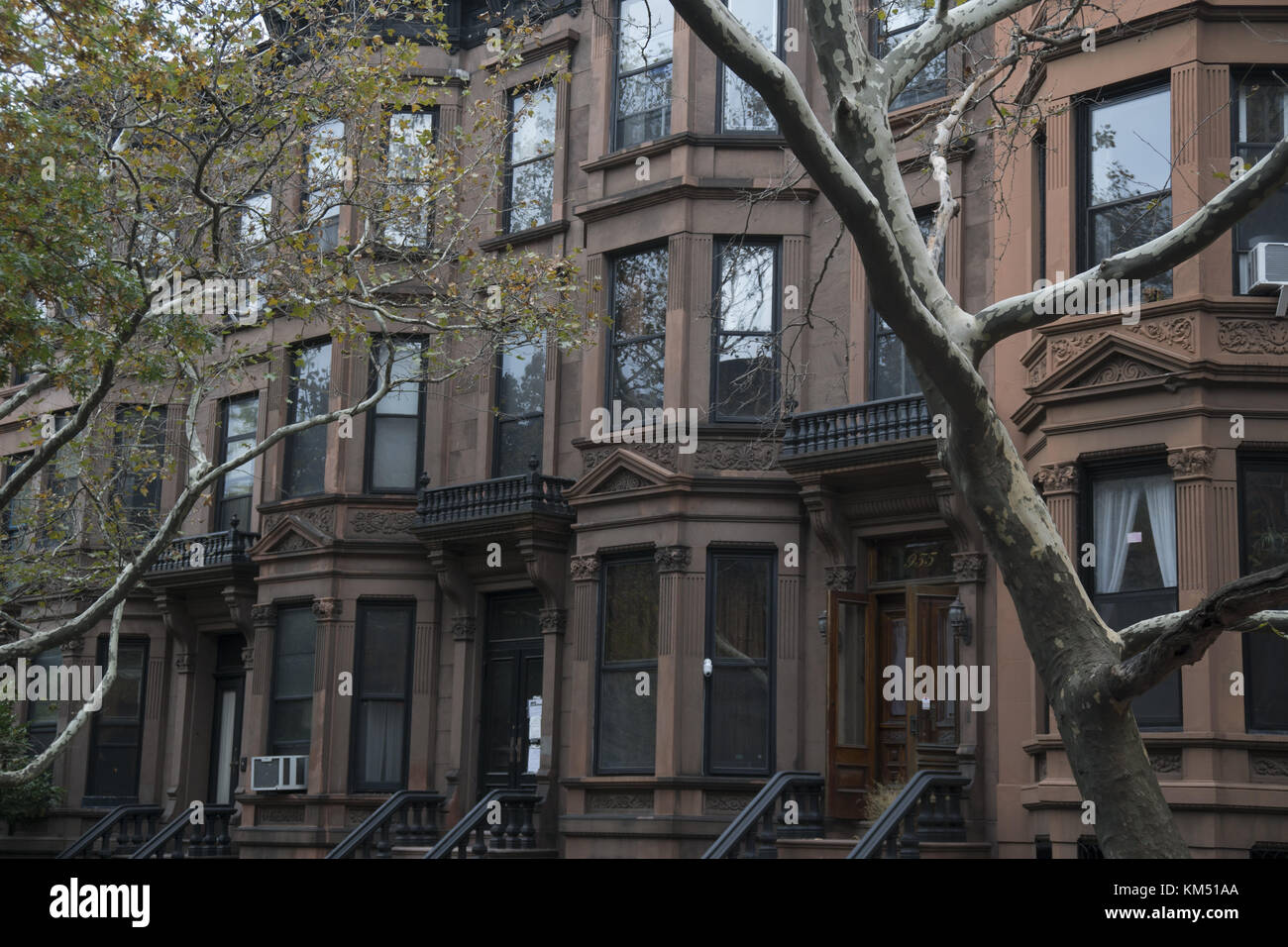 Classic brownstones on a residential street in Park Slope, Brooklyn
