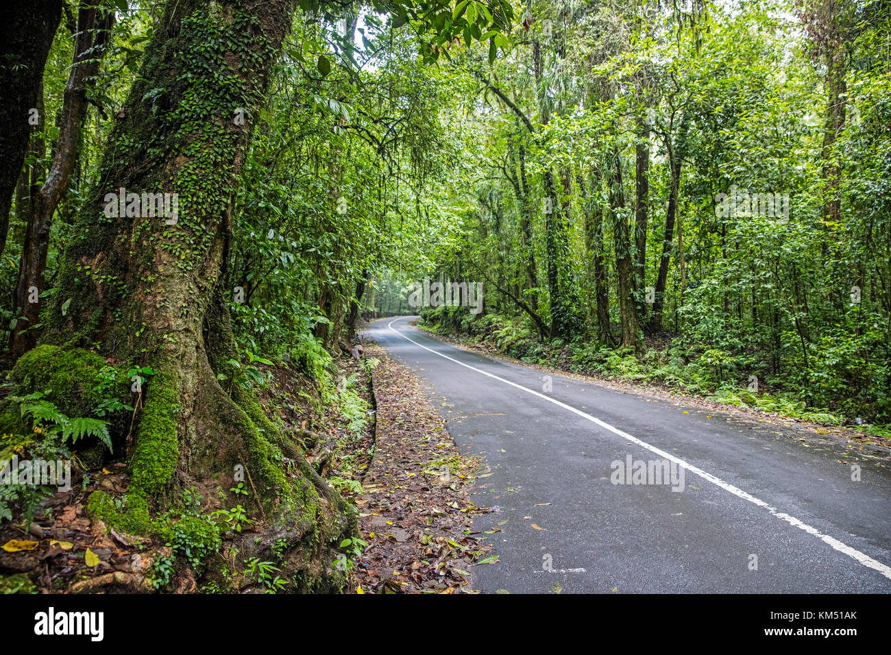 Winding road through tropical rain forest on the slopes of Mount Rinjani, active volcano on the island Lombok, Indonesia Stock Photo