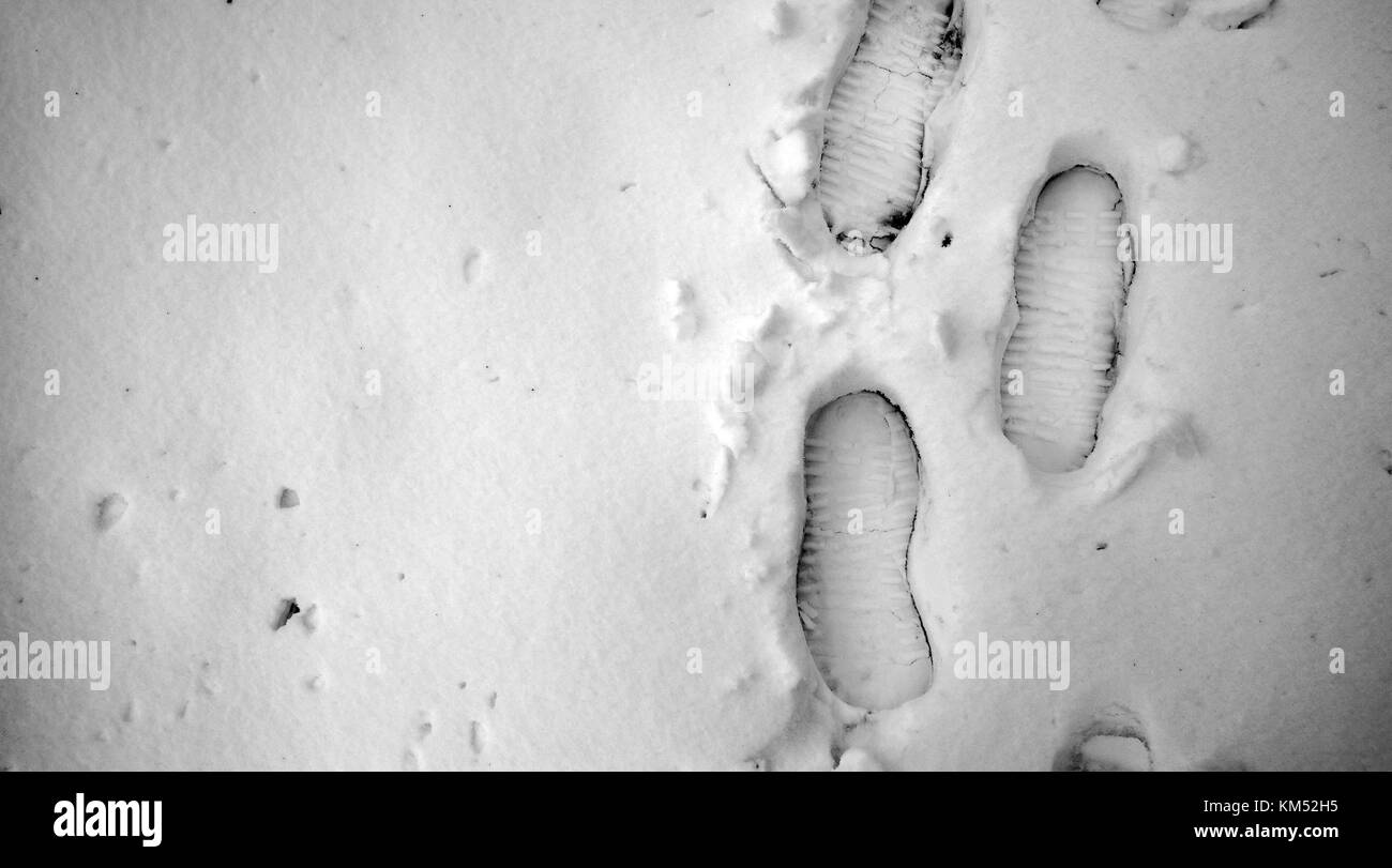 Footprints in the snow. Footprints on the first snow. Imprint an Stock
