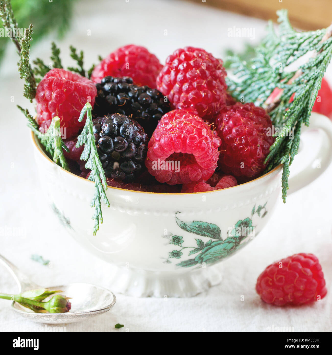 Vintage cup of raspberries and blackberries served with thuja branches and old book on the table. Square image with selective focus Stock Photo