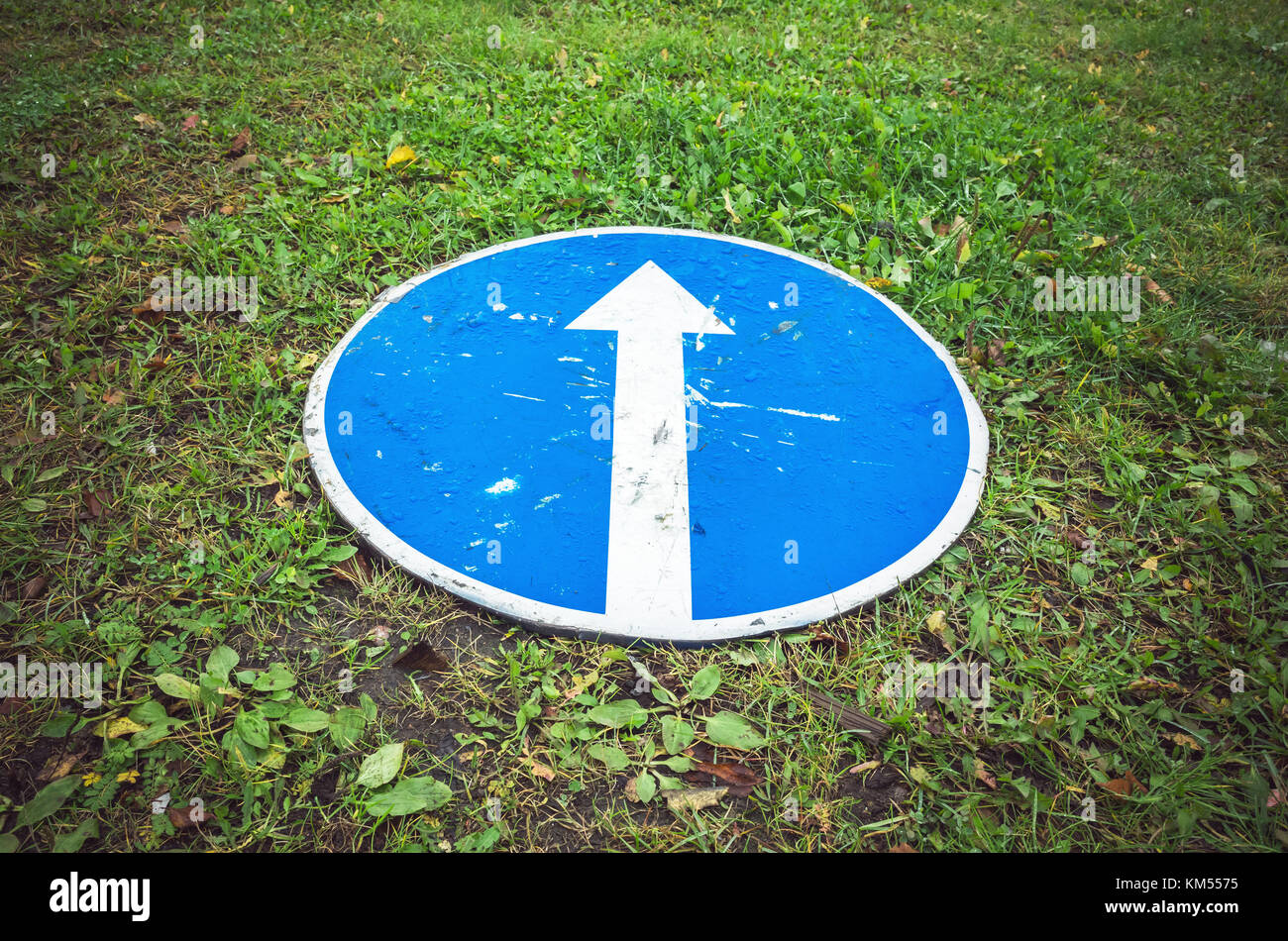 Ahead only, blue road sign with white arrow lays on green grass Stock Photo