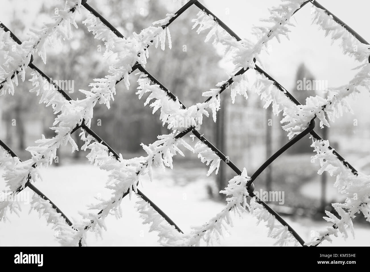 Snow covered mesh netting hi-res stock photography and images - Alamy