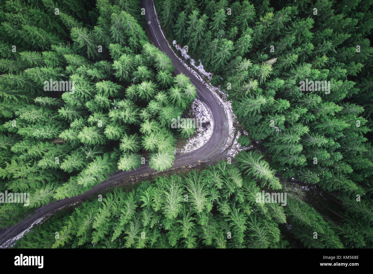 Empty road in a forest from a drone Stock Photo