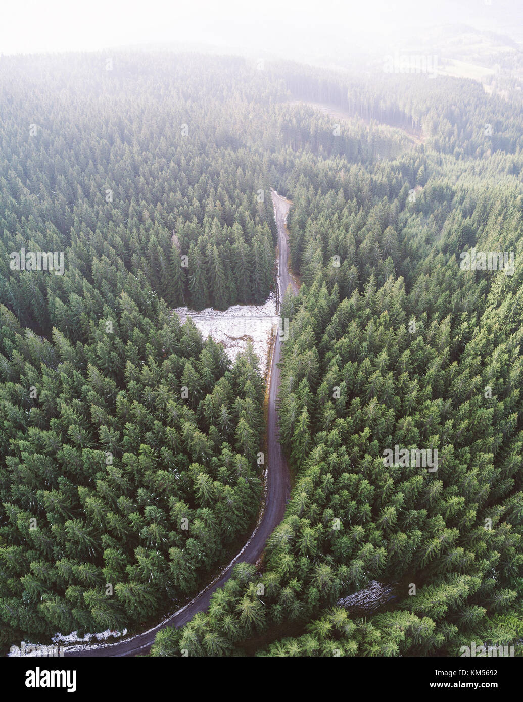 Empty road in a forest from a drone Stock Photo