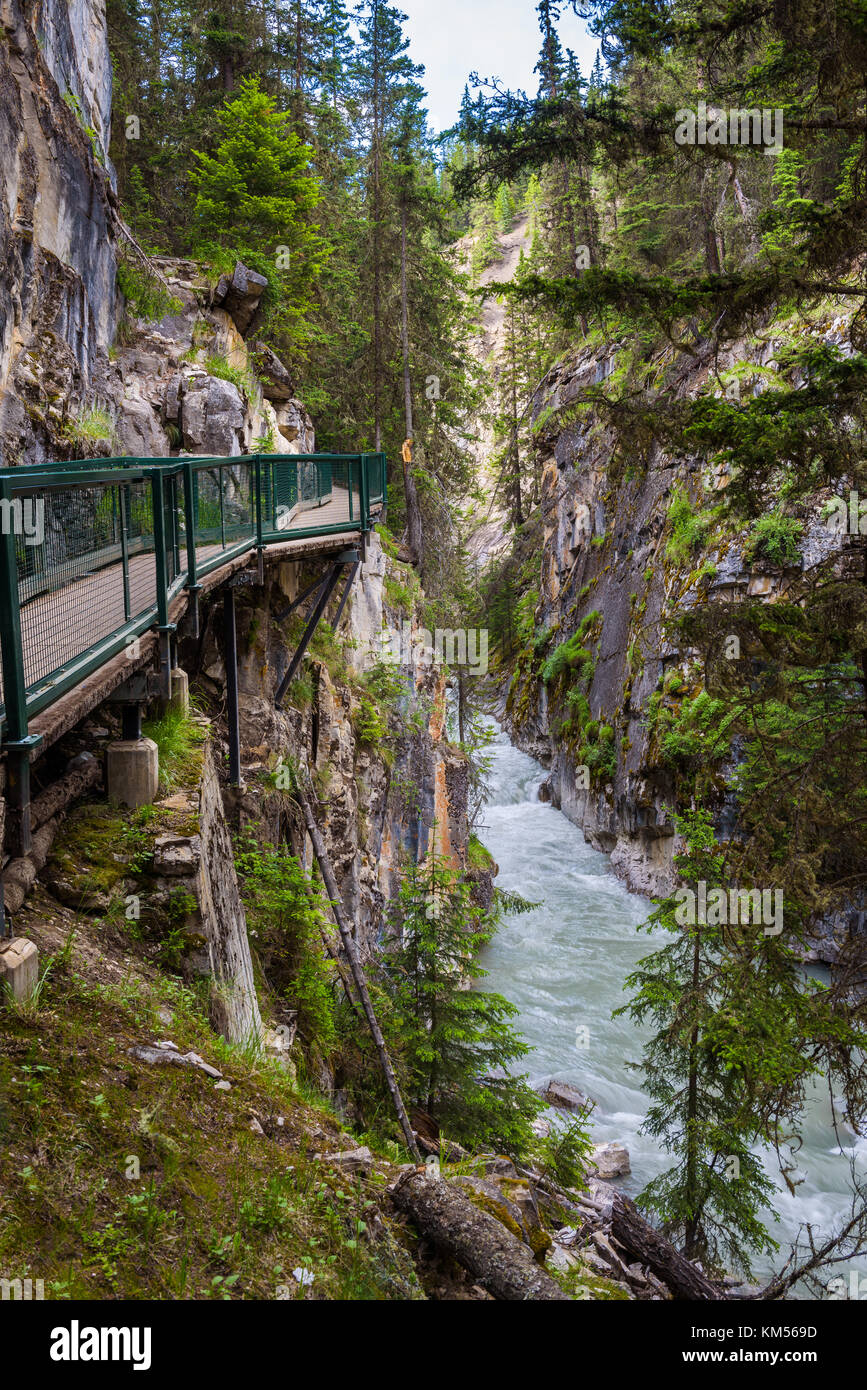 Walkway in Johnston Canyon, Bow Valley Parkway, Canada Stock Photo