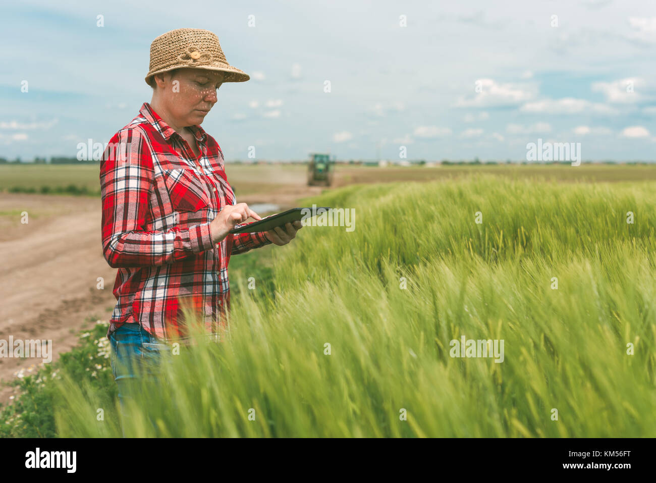 Responsible smart farming, using modern technology in agricultural activity, female farmer agronomist with digital tablet computer using mobile app in Stock Photo