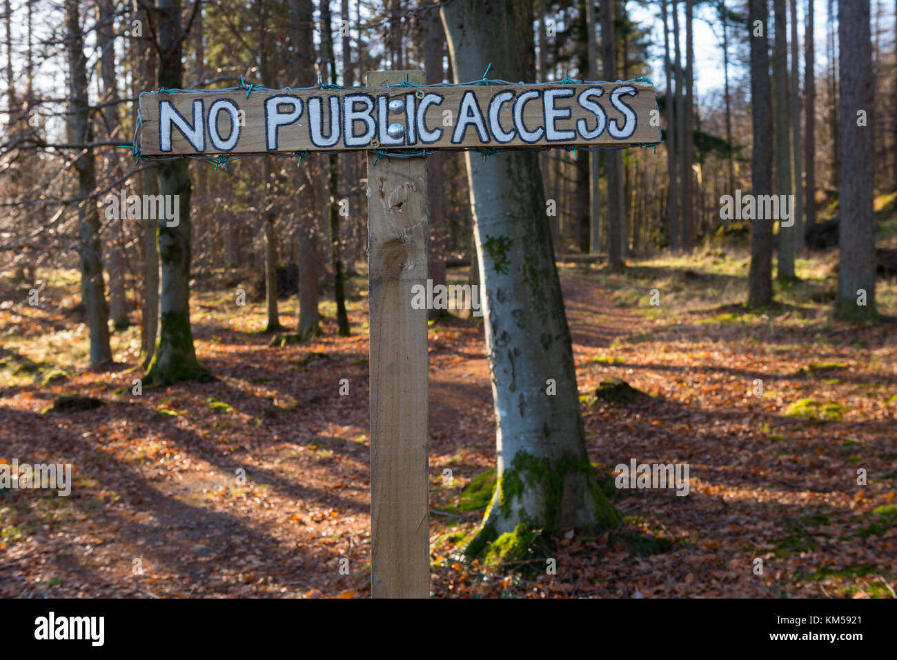 No Public Access Sign in Torver Common Wood near Coniston Stock Photo