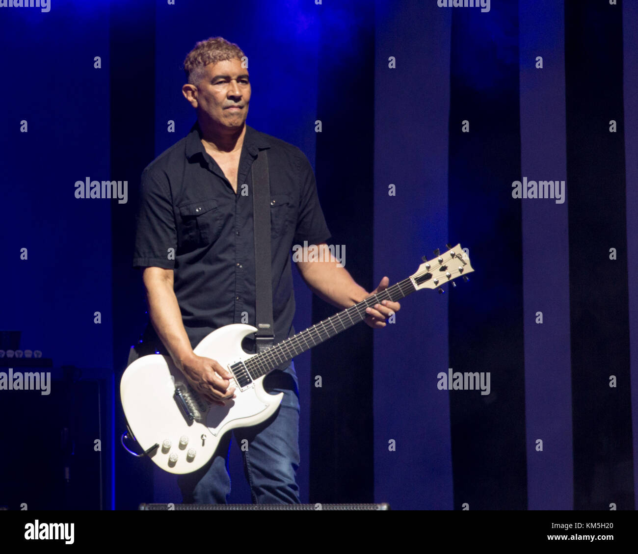 Pat smear hi-res stock photography and images - Alamy