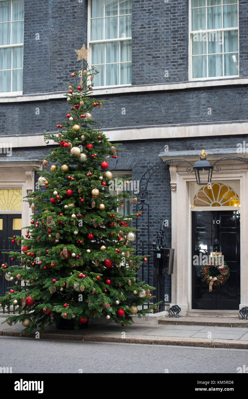 Downing Street, London, UK. 5 December 2017. Government ministers in Downing Street for weekly cabinet meeting on the day after PM Theresa May returns from failed Brexit talks in Brussels. Photo: The 10 Dopwning Street christmas tree and festive front door wreath. Credit: Malcolm Park/Alamy Live News. Stock Photo