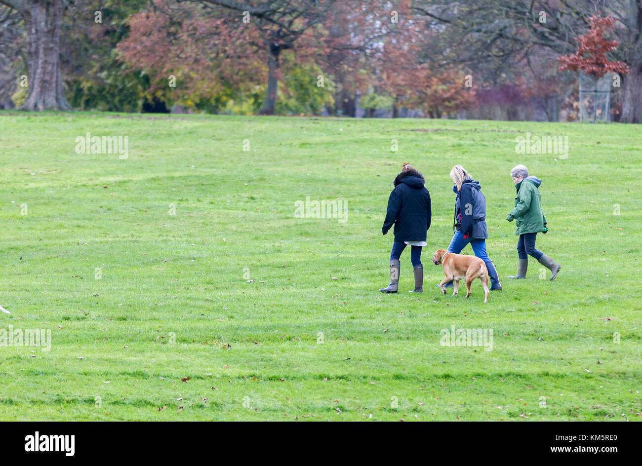 friendsNorthampton, U.K. Abington Park, Weather, 5th December 2017
