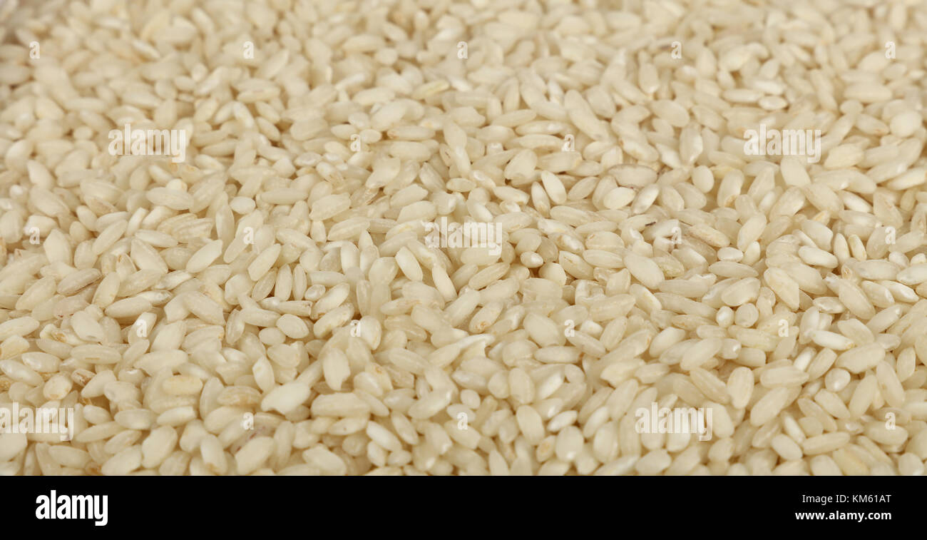 White Arborio Italian short grain rice close up pattern background, low