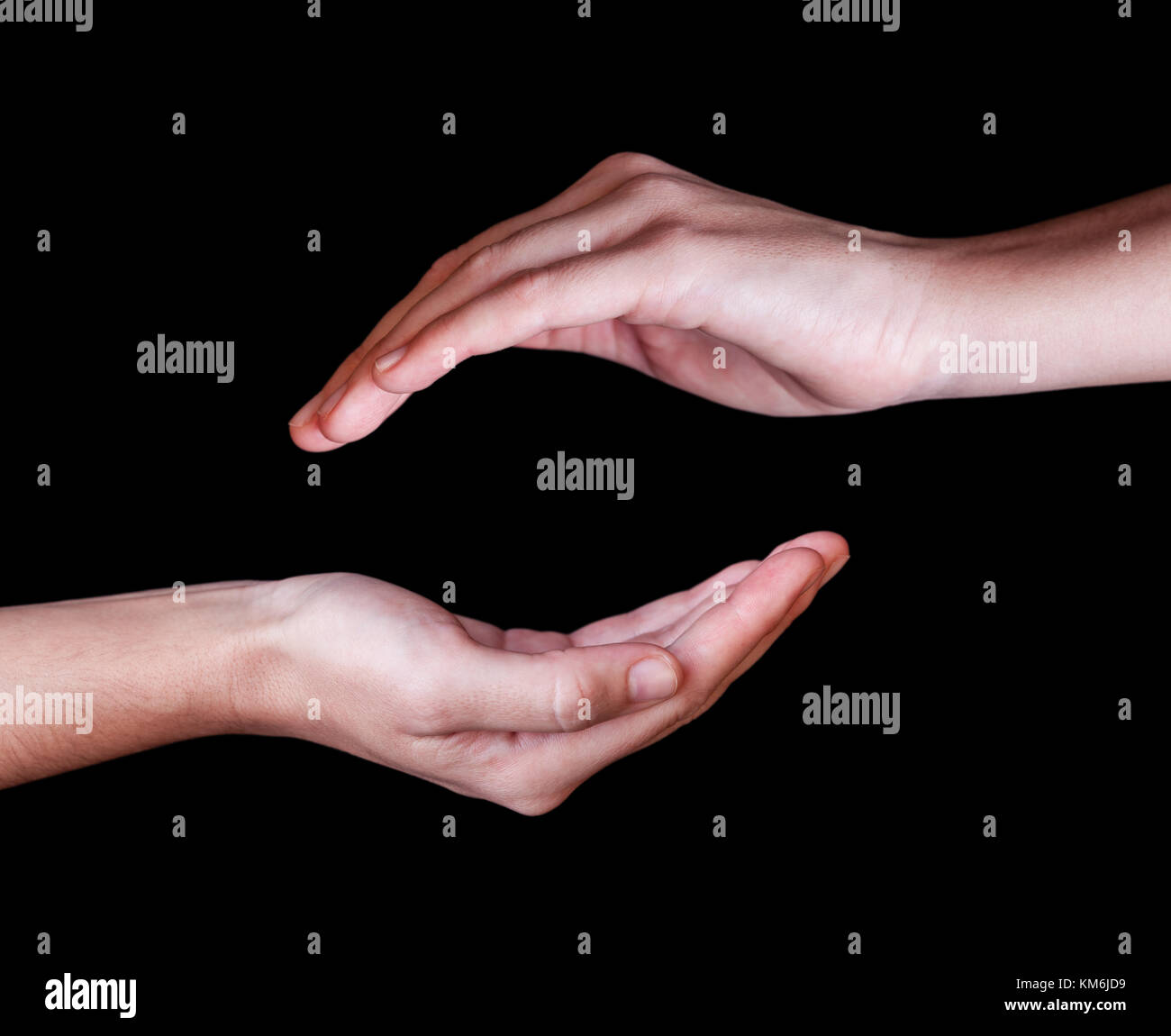 Woman or female hands cupped in a protection, protection, safety or safe concept symbol. Black background with copy space. Left and right hands Stock Photo