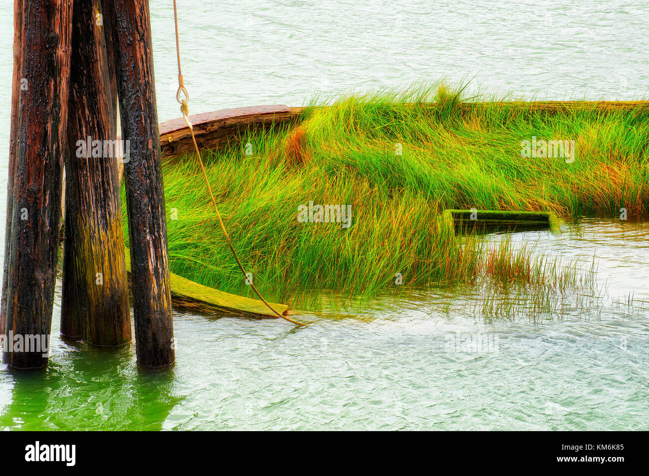 Grass grows in the remains left above the waterline of the Mary D. Hume.   A steamer, Mary D. Hume, built in 1881 and retired in 1977 and sank in the  Stock Photo