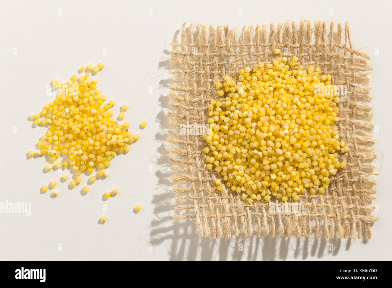 Panicum miliaceum is scientific name of Proso Millet cereal grain. Also