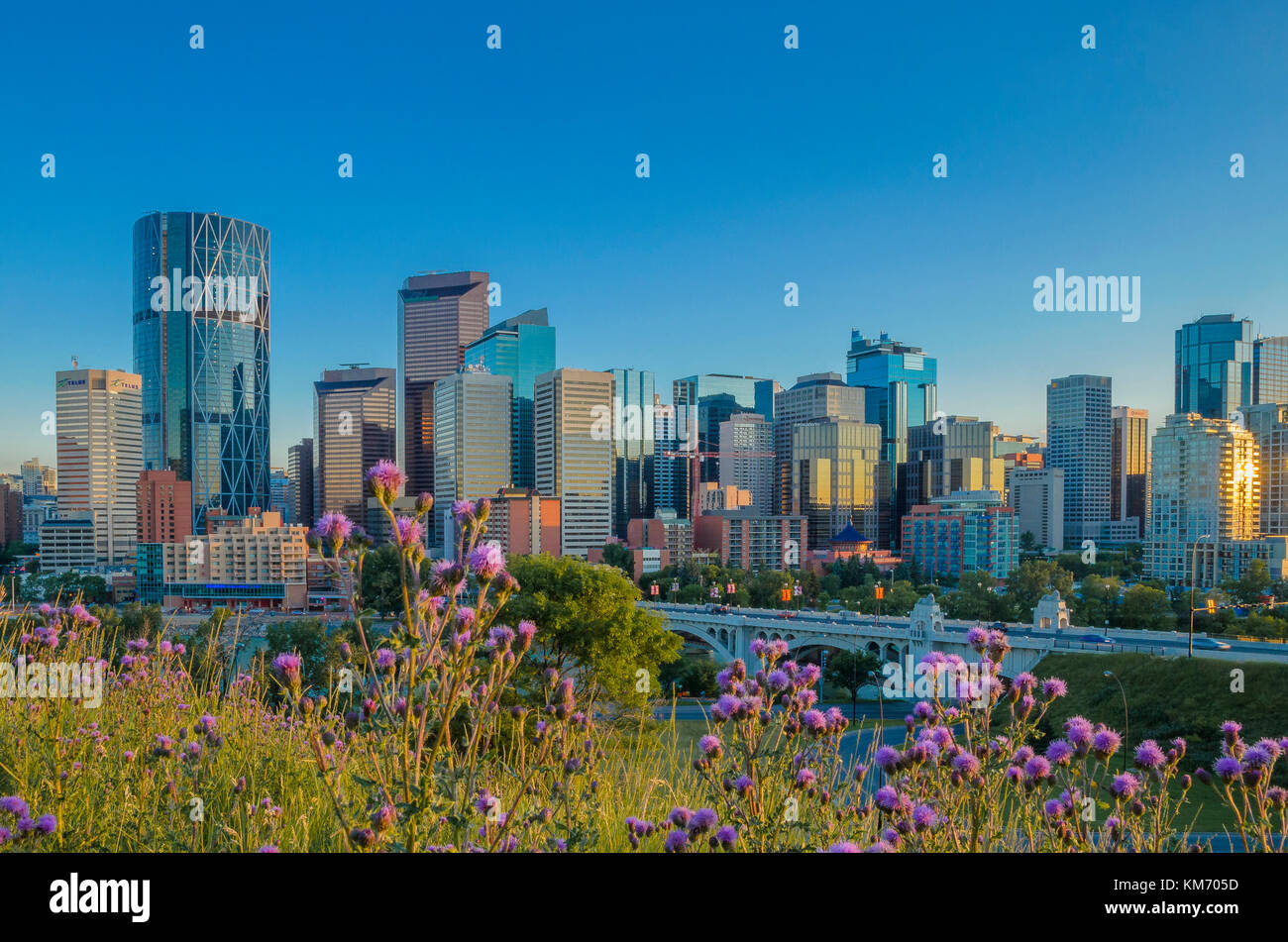 Calgary skyline and Centre St Bridge, Calgary. Alberta, Canada Stock Photo