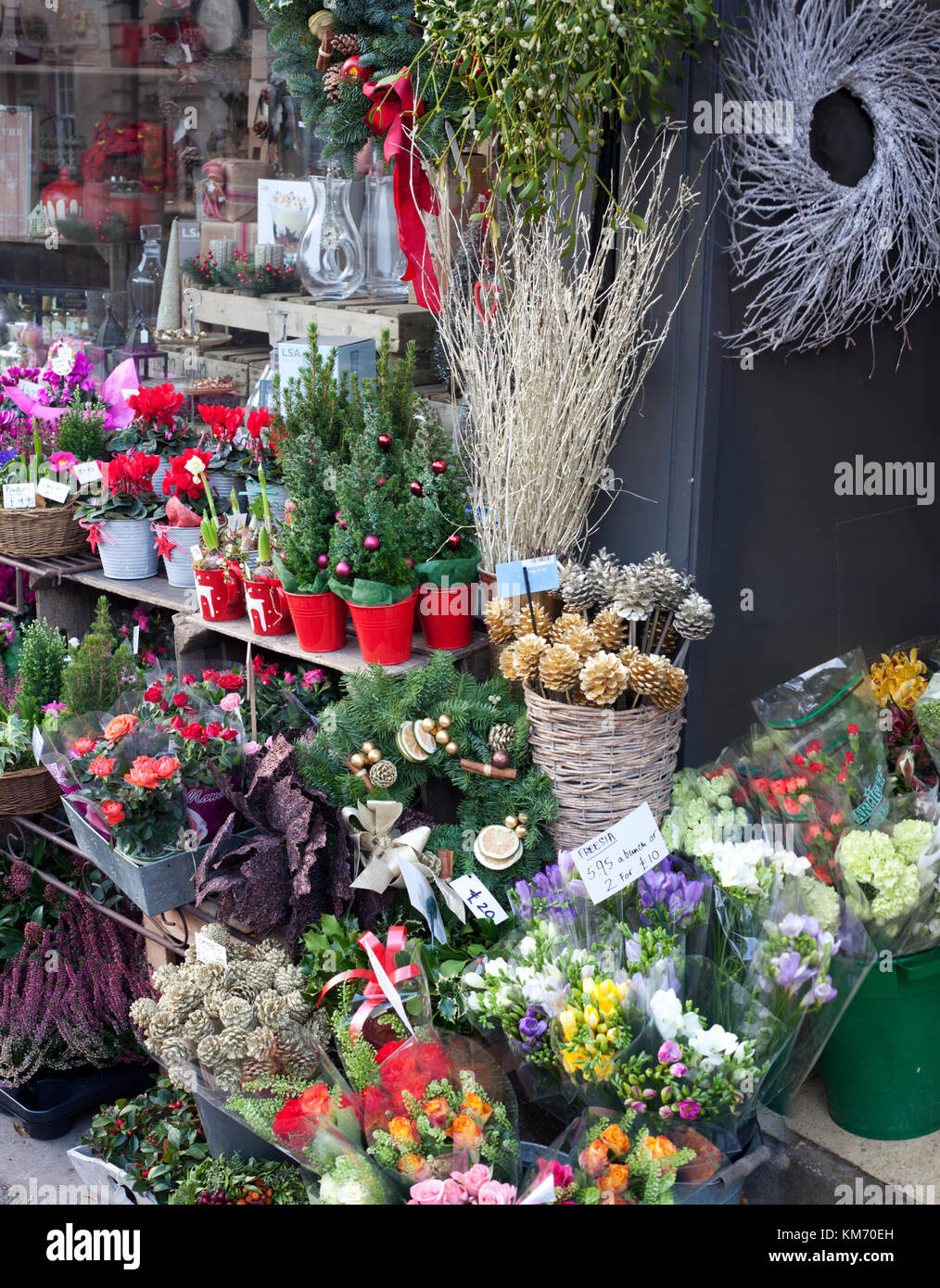 christmas floral displays