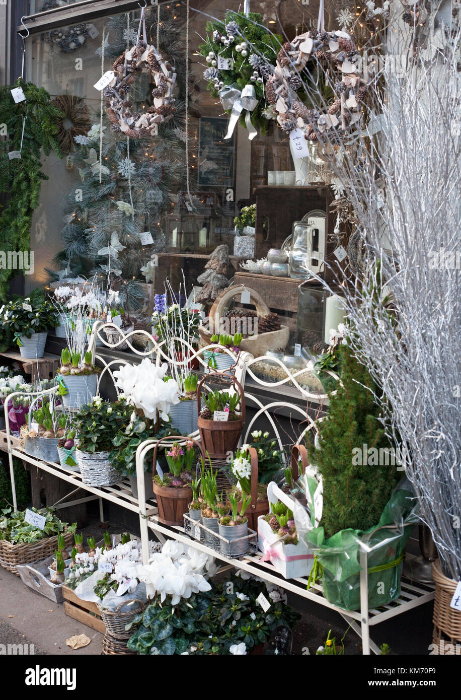 christmas floral displays