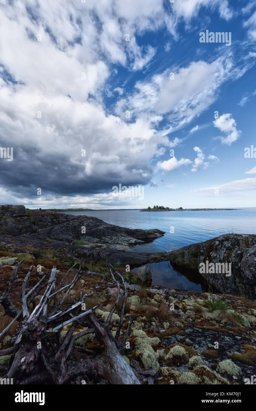 Moody landscape. Severe northen summer at the Ladoga lake skerries. The rocky lakeside is covered by white lichen, brownish moss and green and copper  Stock Photo
