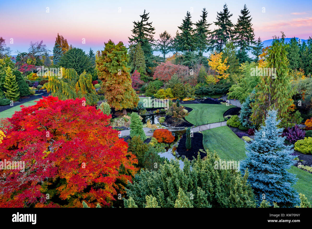Fall colour, the Quarry Garden, Queen Elizabeth Park, Vancouver British Columbia, Canada Stock Photo