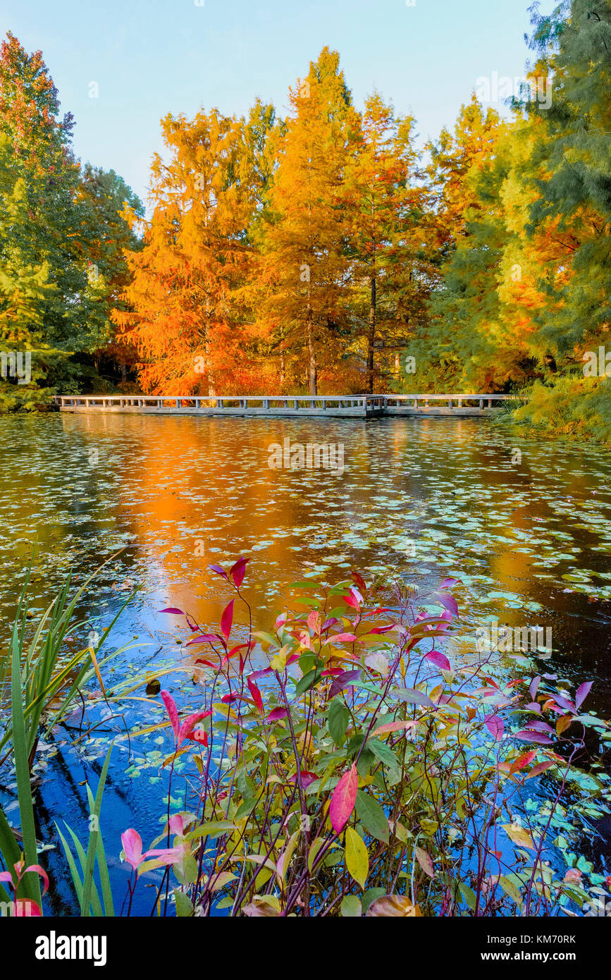 Cypress Pond, VanDusen Botanical Garden, Vancouver, British Columbia