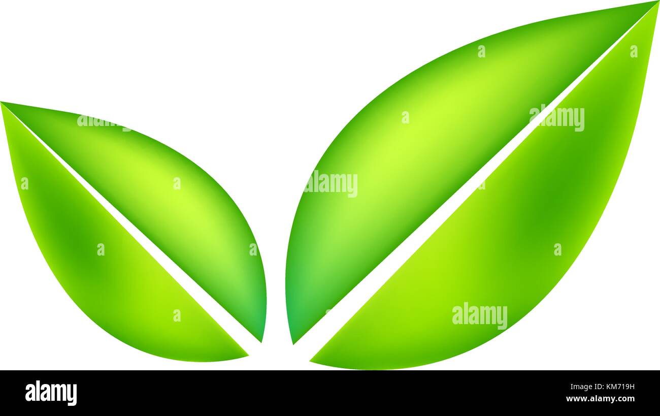 Green leaf isolated on white background Stock Vector Image & Art - Alamy