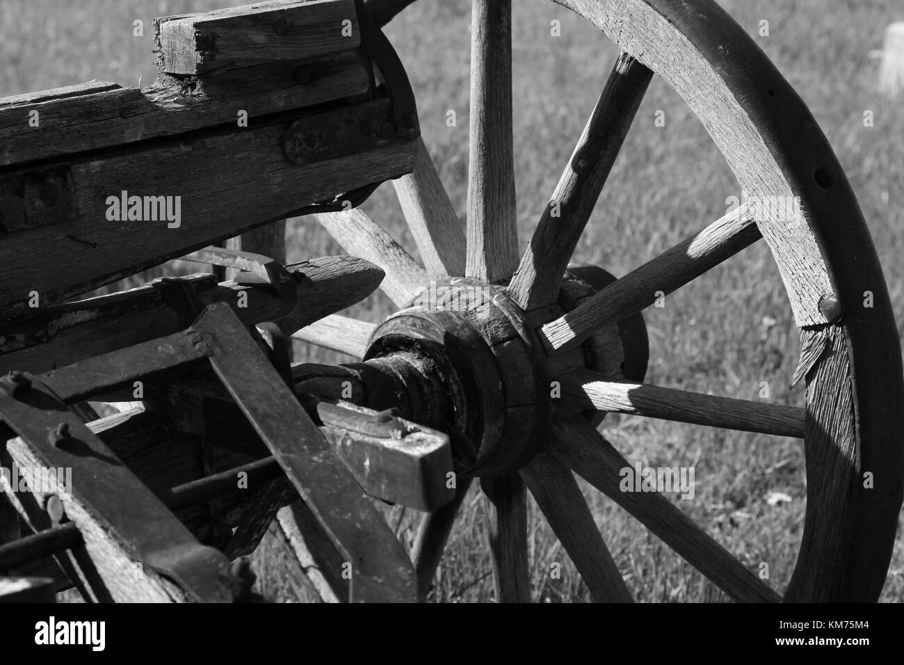 Wagon Wheel Stock Photo