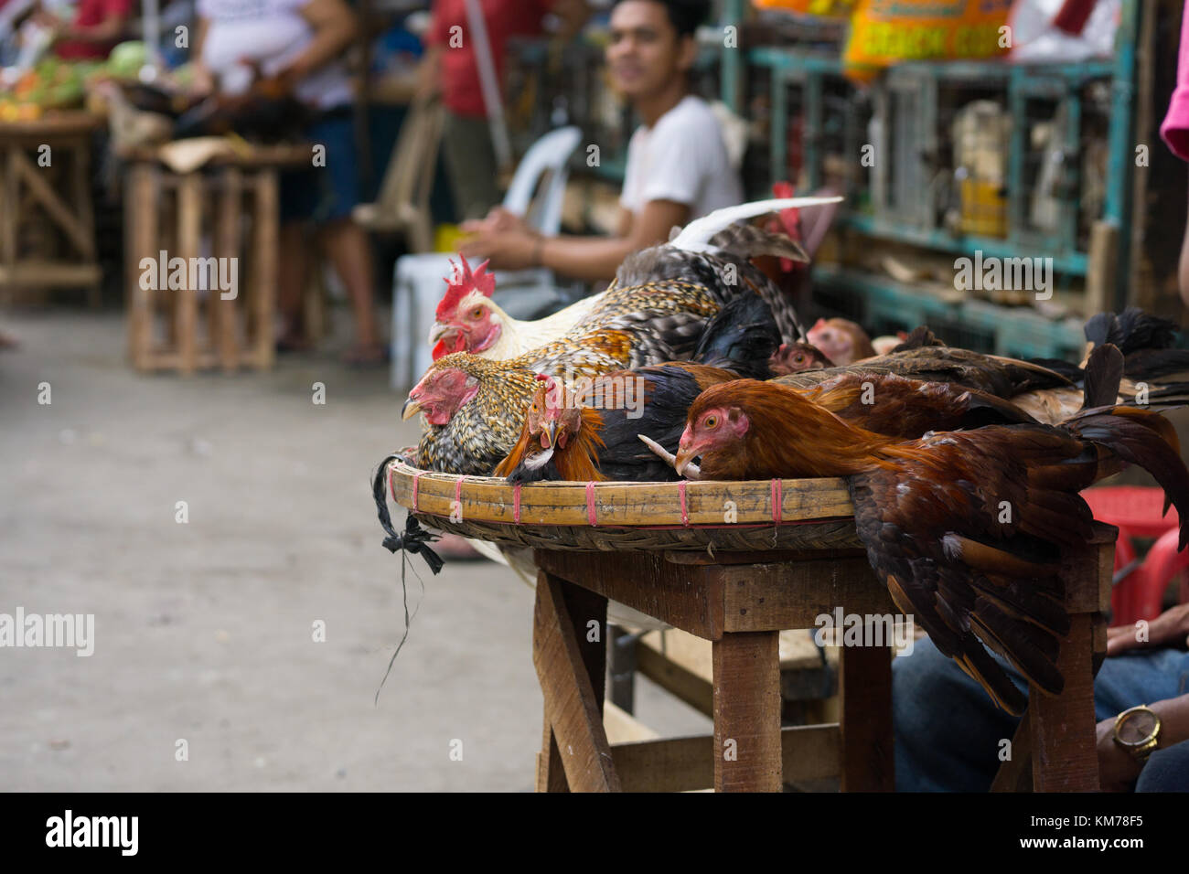 Cebu city street market hires stock photography and images Alamy