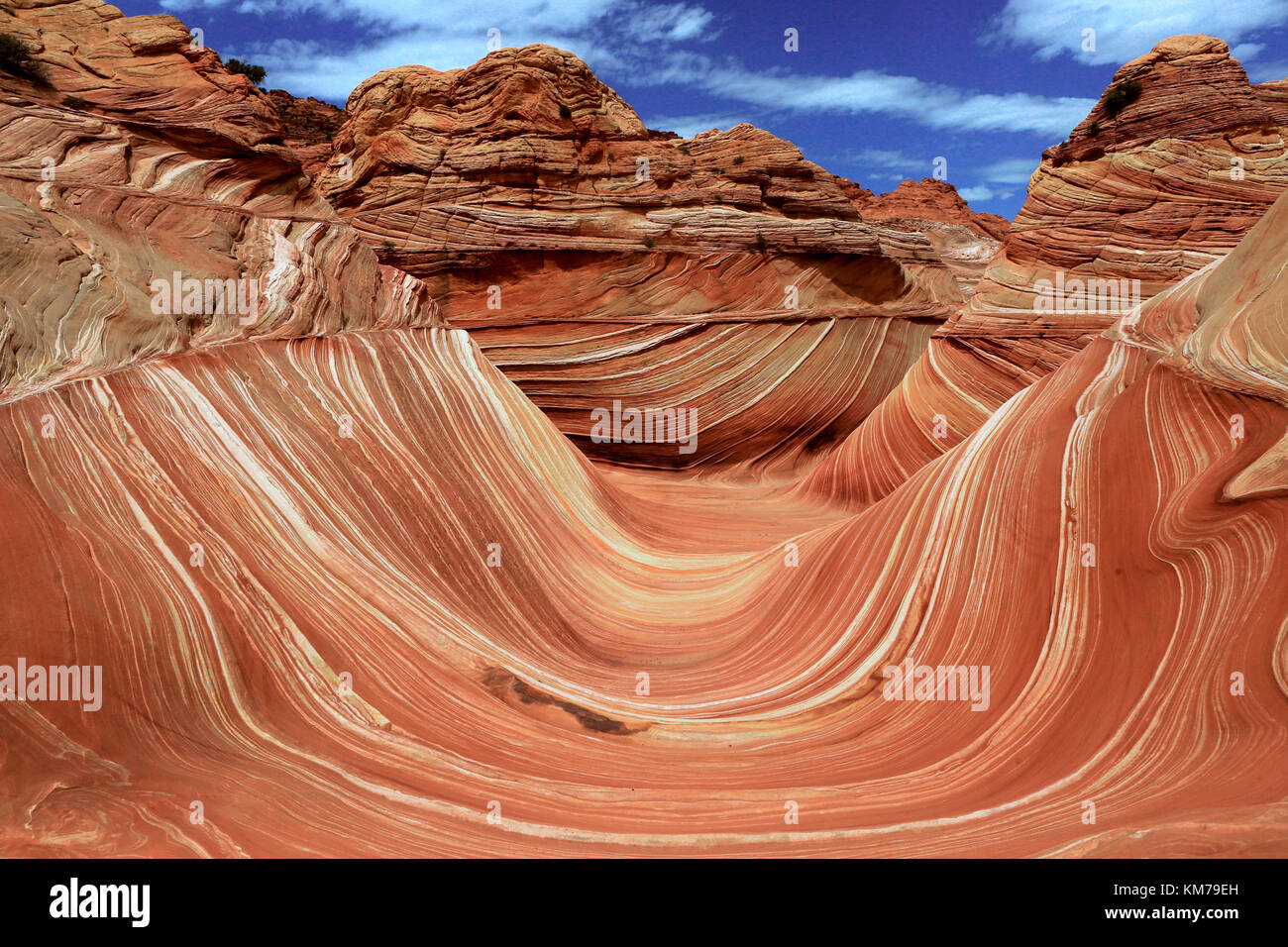 The Wave Arizona Hi res Stock Photography And Images Alamy