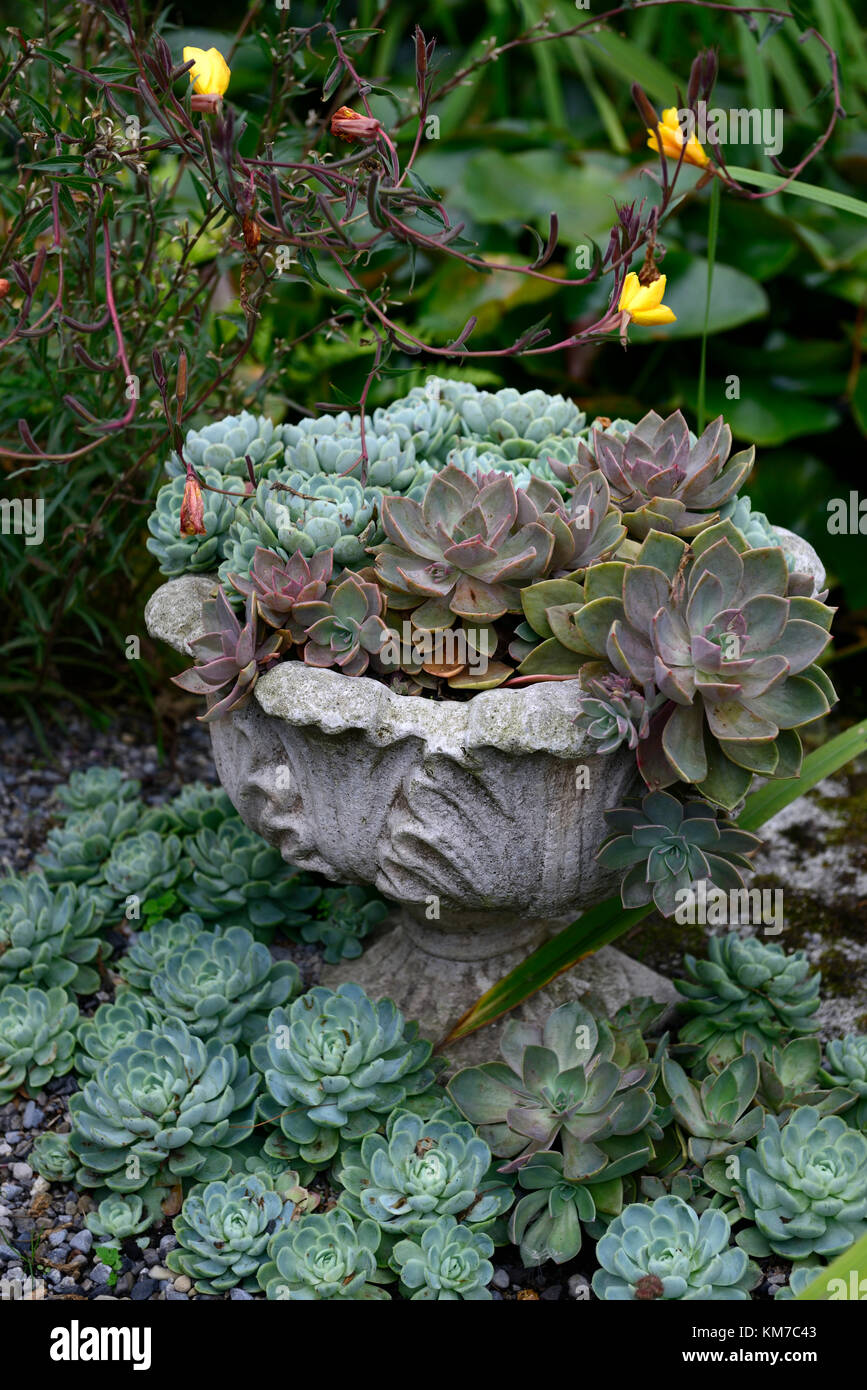 Garden displays hi-res stock photography and images - Alamy