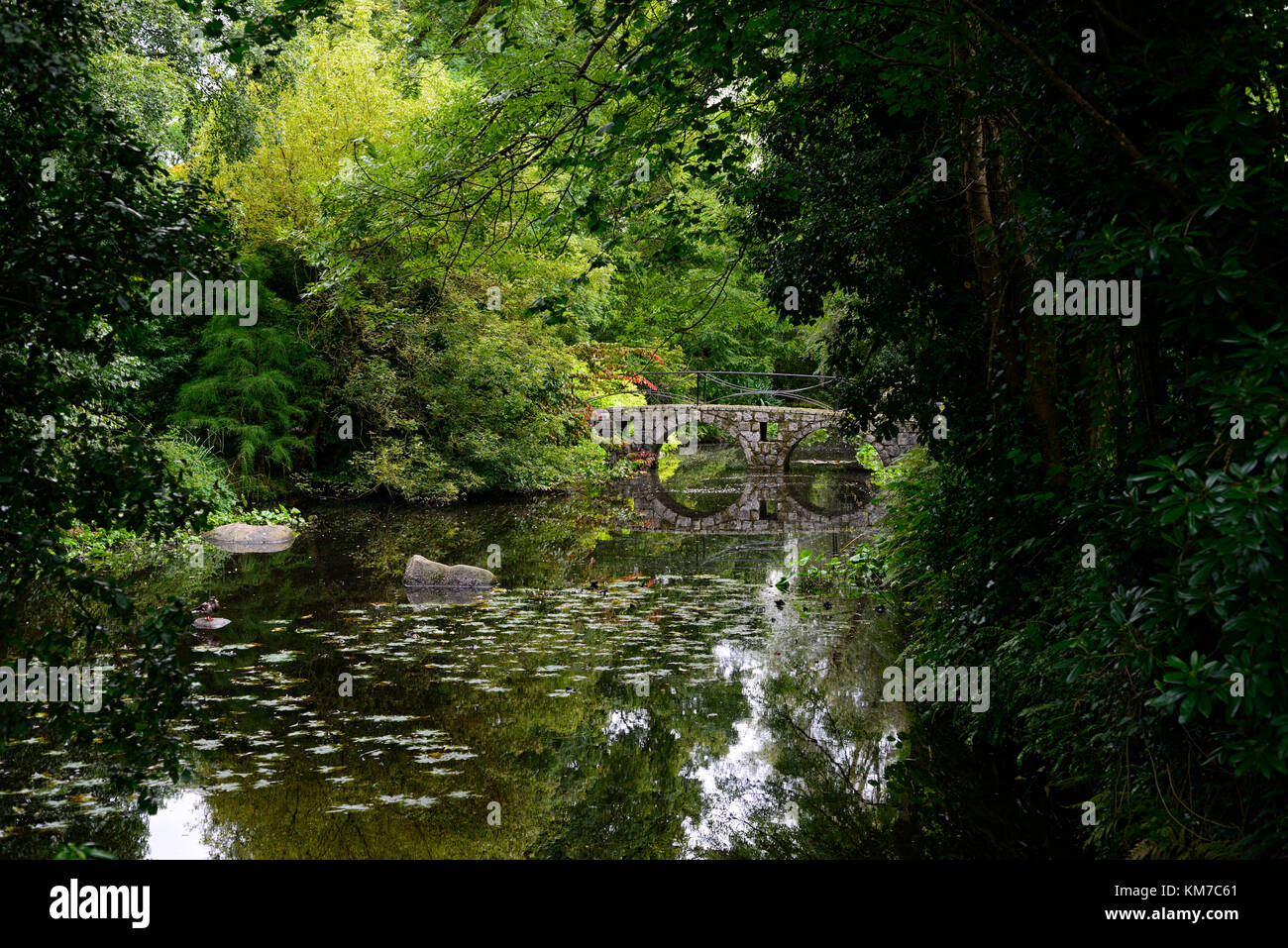 Stone,arch,bridge,perfect reflection,reflect,frame,framed,lake,pond,altamont gardens,carlow,RM Floral Stock Photo