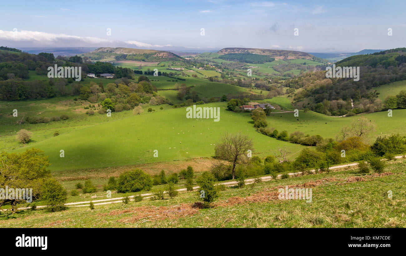 Landscape in the North York Moors between Sutton Bank and Hawnby, North Yorkshire, England, UK Stock Photo