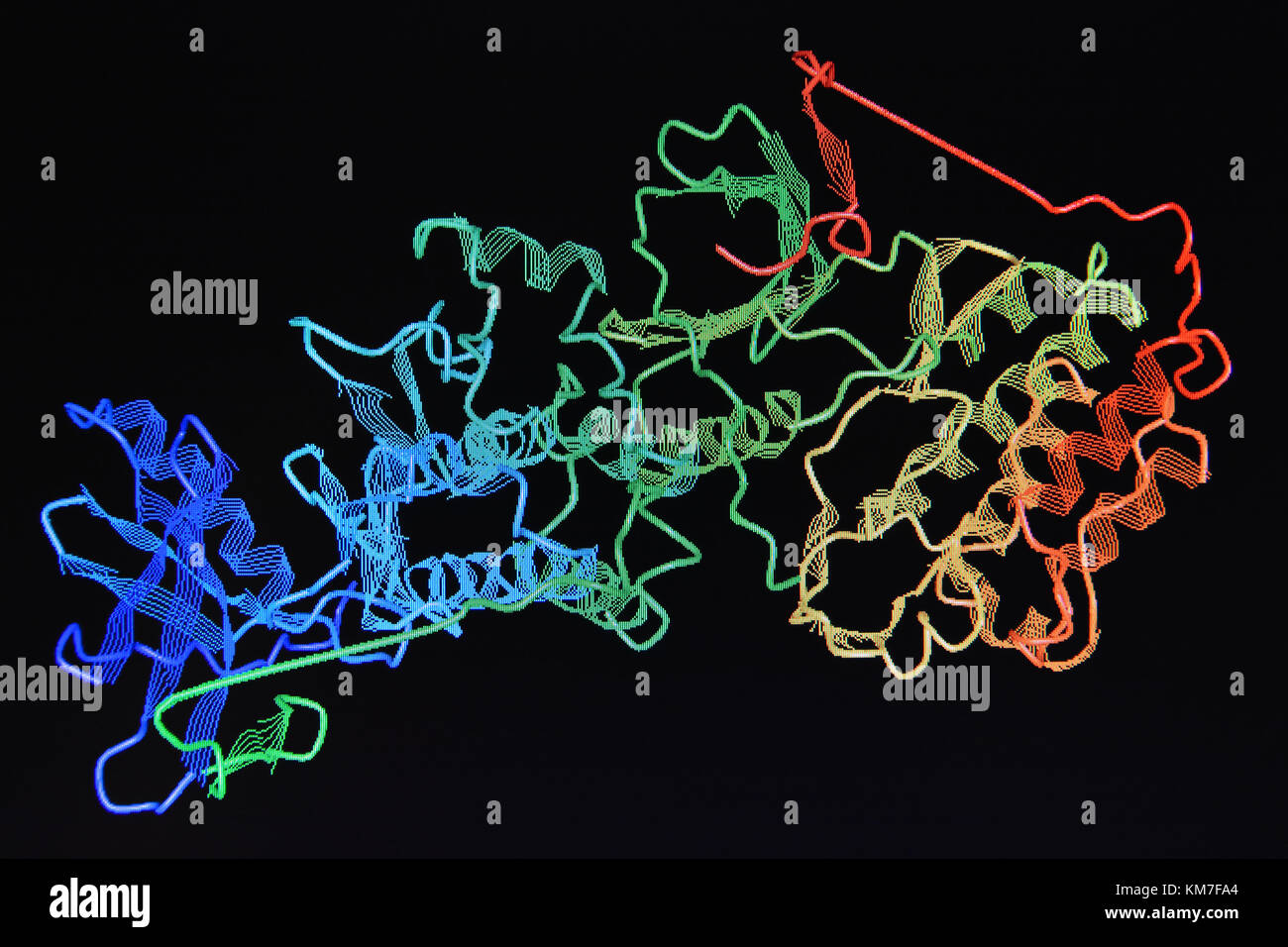 Structure of the protein molecule. Molecular model of human enzyme on a