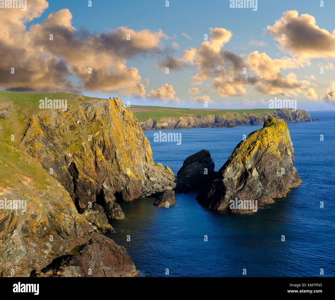 Steilküste, Kynance Cove, Lizard-Halbinsel, Cornwall, England, Großbritannien Stock Photo