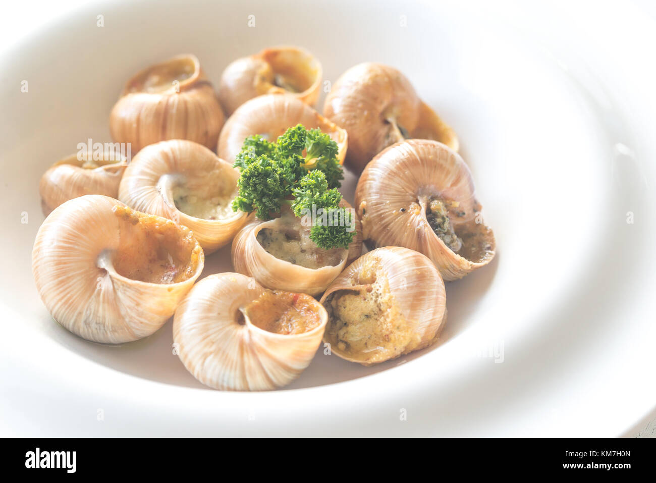 Cooked snails hires stock photography and images Alamy