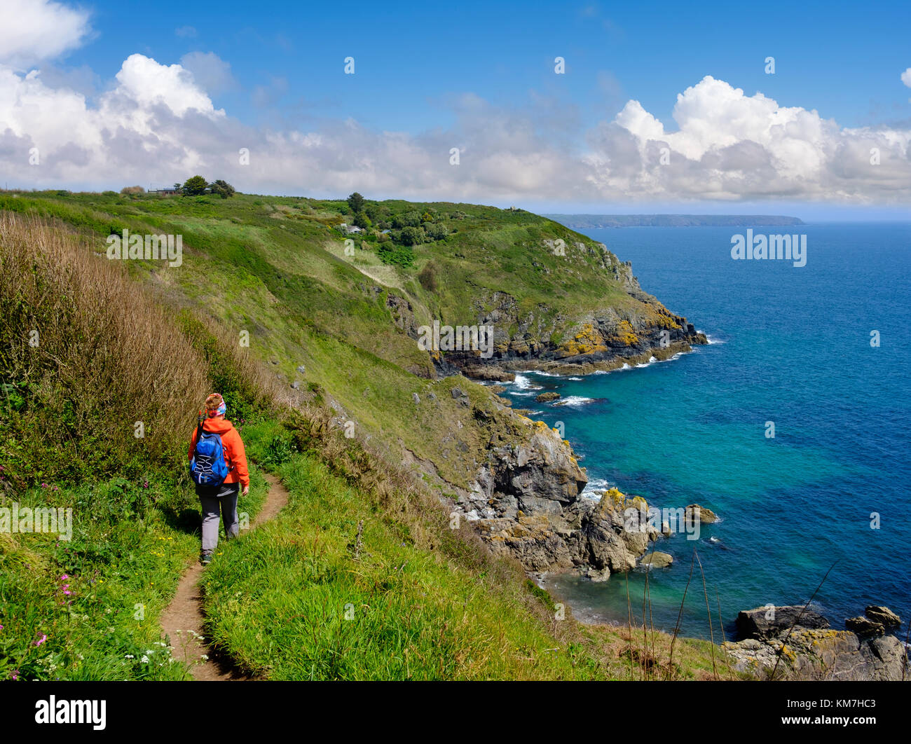 Frau wandert auf KÃ¼stenwanderweg nahe Cadgwith, Lizard-Halbinsel, Cornwall, England, GroÃŸbritannien Stock Photo