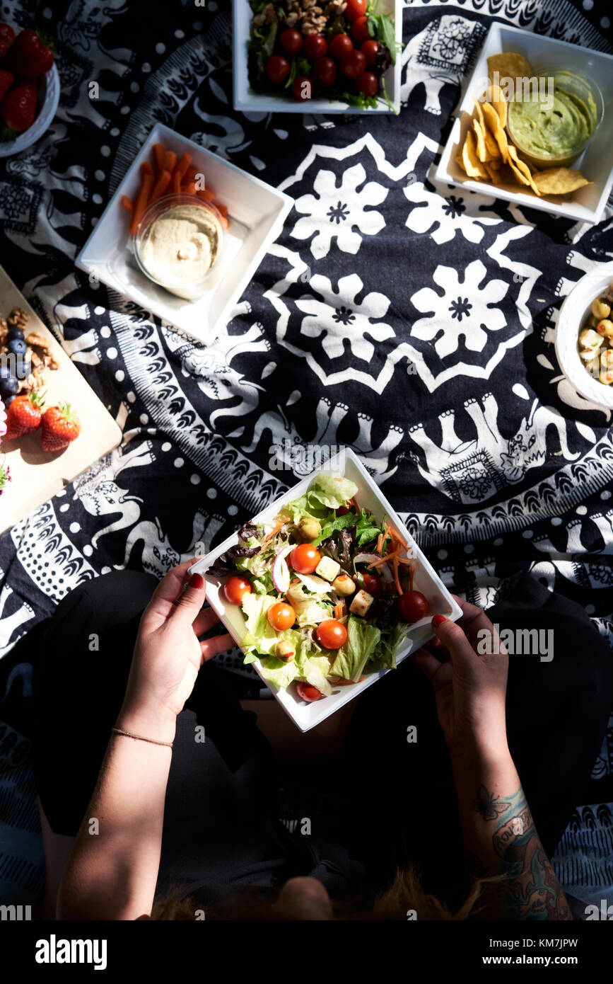 Uk, London, Hampstead Heath Park, overhead details of healthy food on picnic blanket, friends picnic at the park Stock Photo