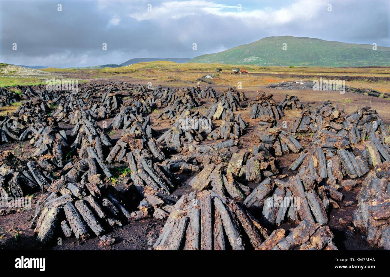 Peat turf cut and stacked to dry for house fire fuel in the Connemara