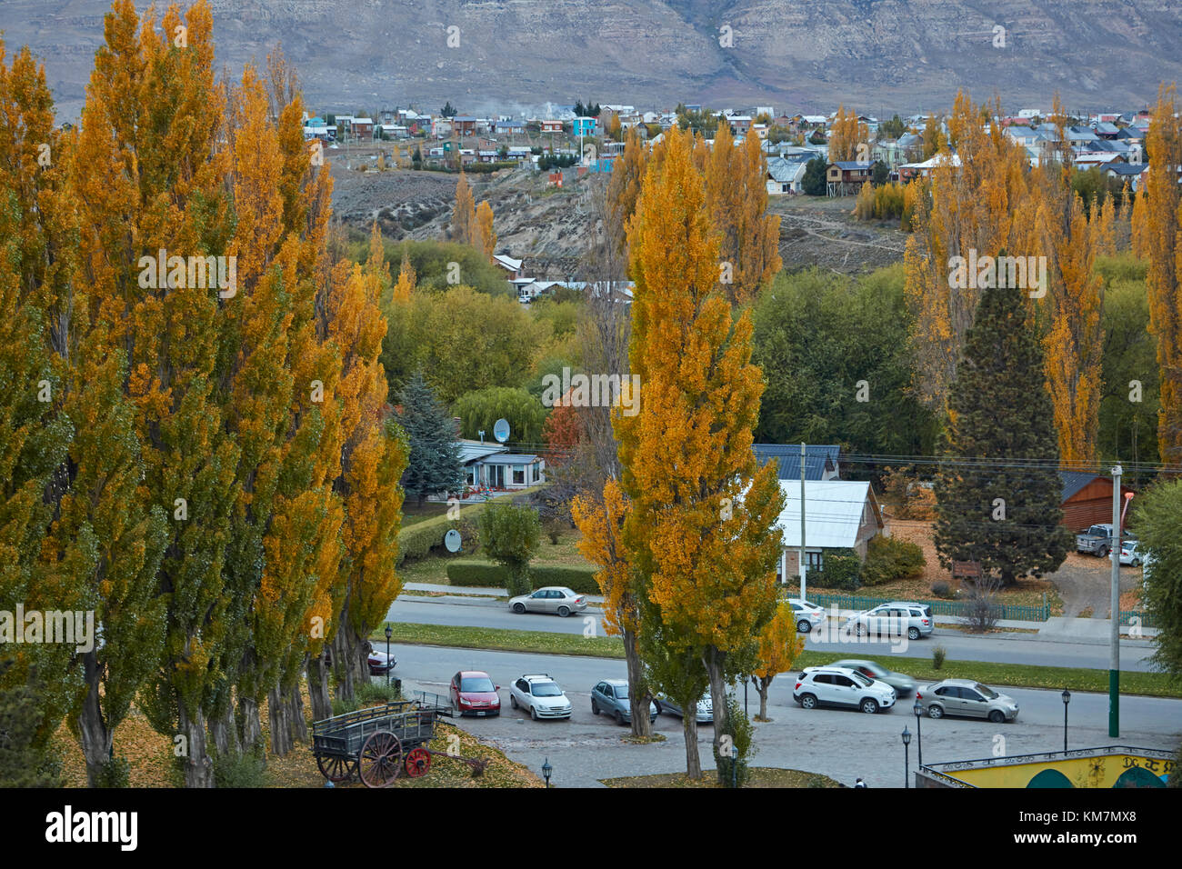 Autumn colour in El Calafate, Patagonia, Argentina, South America Stock Photo