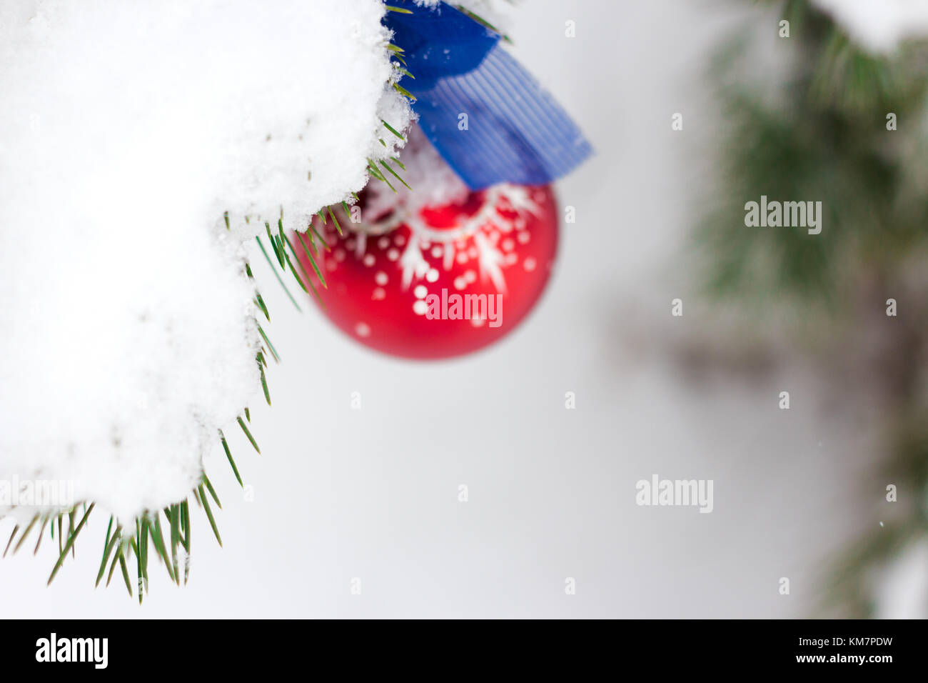 Red Christmas Ball Hanging on a Tree Branch in the Snow Winter Forest Stock Photo