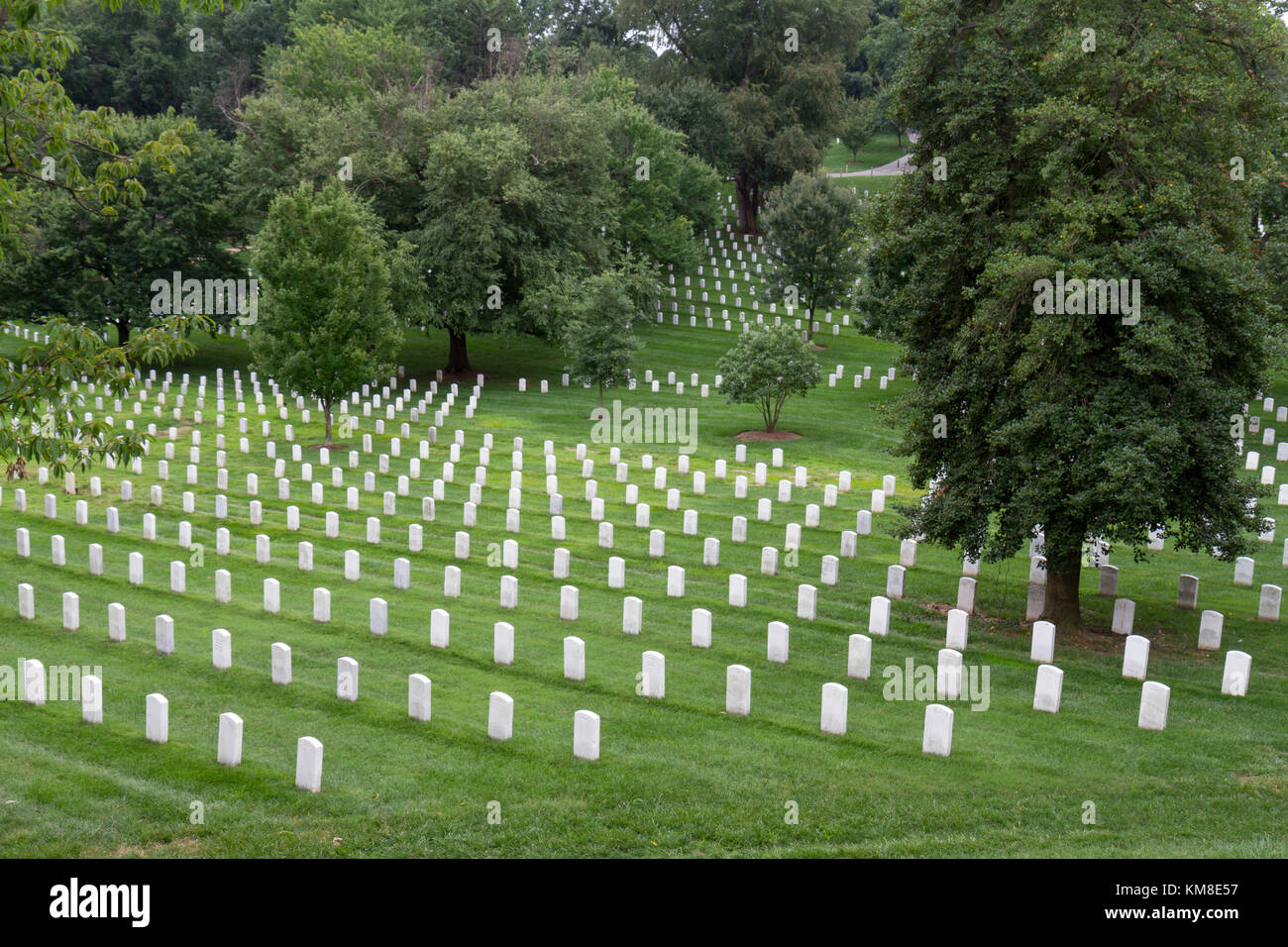 General view across headstones in the Arlington National Cemetery, Virginia, United States. Stock Photo