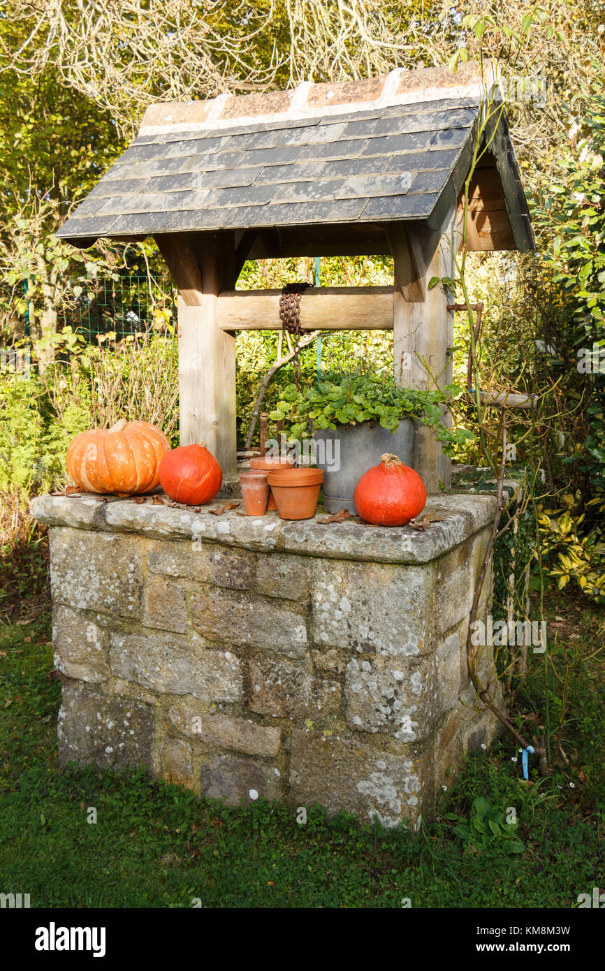 Pumpkins on the coping of a well after harvest during autumn Stock Photo